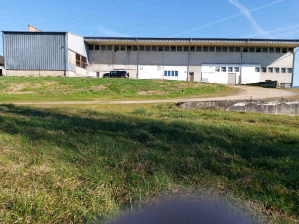 A vendre ateliers, entrepôts et terrain constructible à Saint Amour - Coligny