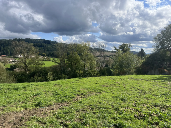 Terrain constructible de 2475 m² à Poule-les-Écharmeaux, vue dégagée et environnement paisible