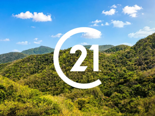 Terrain constructible boisé à vendre aux Anses-d'Arlet en Martinique