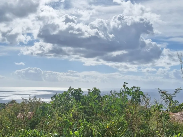 Terrain constructible de 596 m² avec vue mer au Carbet en Martinique
