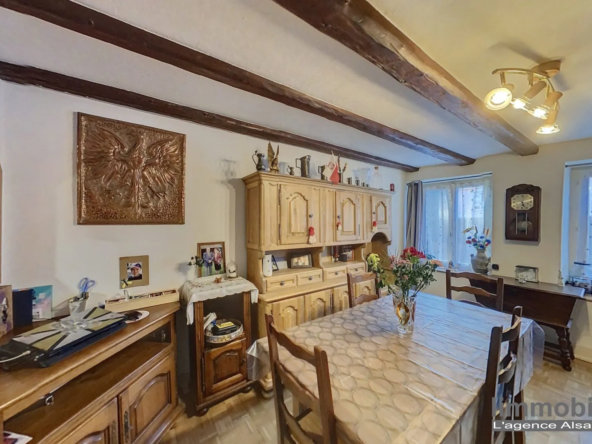 Charmante maison familiale avec jardin à Sainte-Marie-aux-Mines