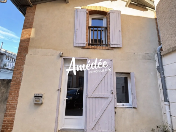 Magnifique appartement-villa avec terrasse au centre d'Albi