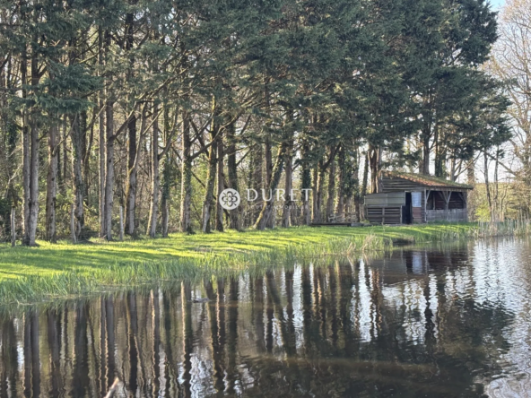Étang privé à vendre en campagne près d'Ancenis - Idéal pêcheurs et loisirs