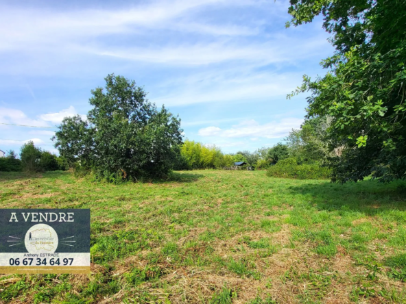 Terrain à bâtir de 2 077 m² à Pleuven, proche Fouesnant, avec certificat d’urbanisme positif