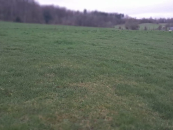 Terrain d'agrément à Gernelle de 769 m² – Opportunité tranquille en zone agricole