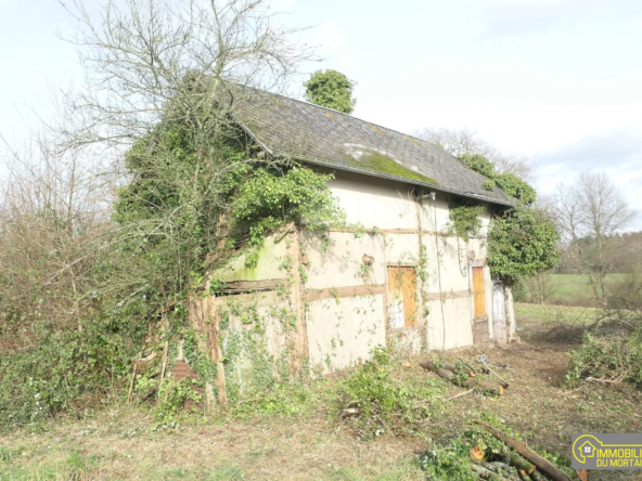 Ancienne maison à rénover sur 3ha12a90ca à Grandparigny