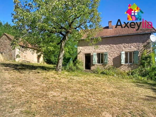 Maison de campagne à Loddes avec dépendances et grand terrain de 2 hectares