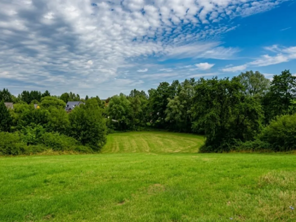 Grand terrain à vendre à Avesnes-sur-Helpe - 3927 m²