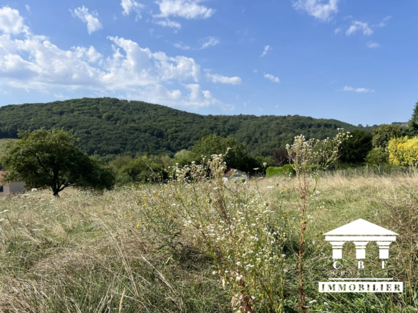 Terrain à vendre à Saint-Sernin-du-Bois — 1306 m² dans environnement paisible