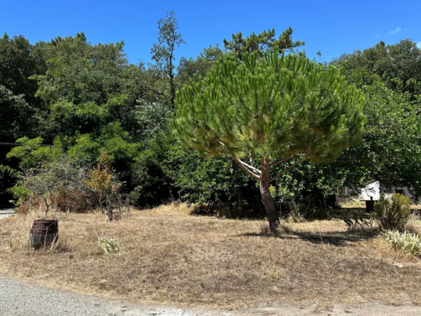 Terrain constructible de 650 m² avec vue forêt à La Barre-de-Monts
