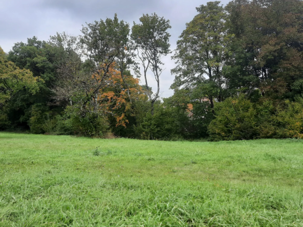 Terrain constructible à Cayenne, proche Besançon - Libre constructeur