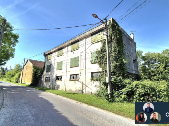 Propriété exceptionnelle à rénover avec grand terrain et piscine près de la Marne à Vitry-le-François