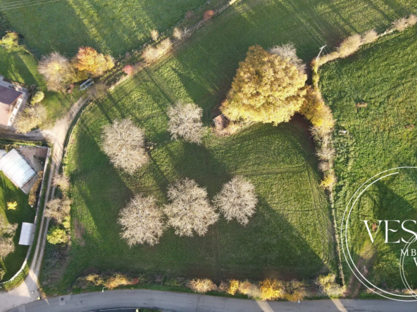 Terrain constructible de 982 m² à Montenois, idéal pour votre projet immobilier