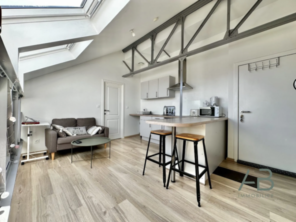 Appartement T2 lumineux à Lille-Hellemmes, proche métro, investissement ou résidence