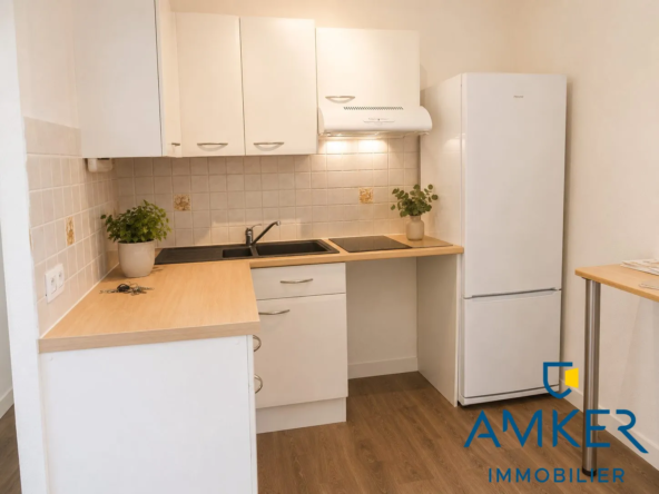 Appartement T3 à Nantes avec locataires en place – Idéal pour investissement locatif