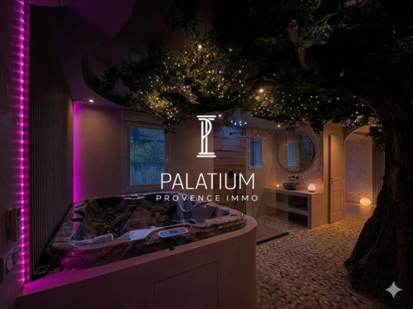 Appartement Love Room à vendre à L'Isle-sur-la-Sorgue - Investissement clé en main