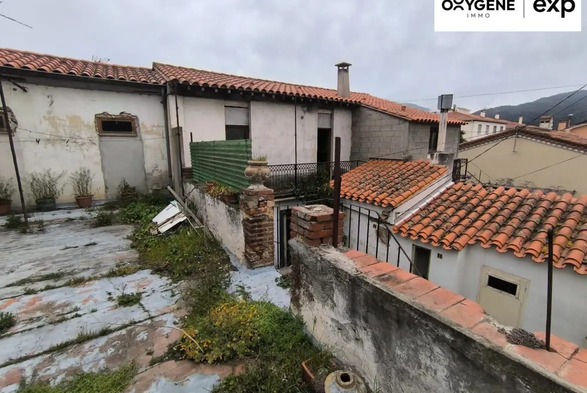 Ensemble immobilier à vendre à Le Boulou avec fort potentiel patrimonial et locatif 