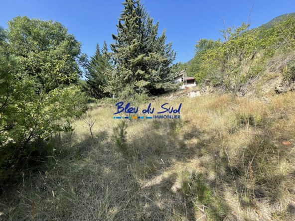 Ensemble de Parcelles Agricoles et Boisées à Serdinya – 40 072 m²