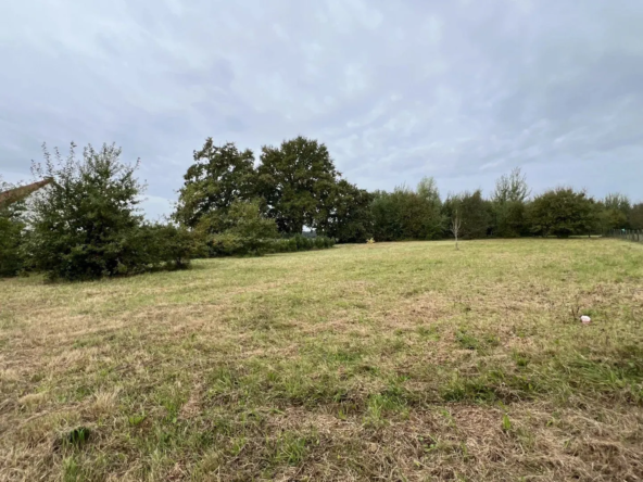 Terrain constructible de 2 217 m² à Saint-Étienne-en-Bresse, idéal pour votre projet immobilier