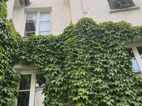 Restaurant clé en main dans le Quartier Mouffetard à Paris 5ème