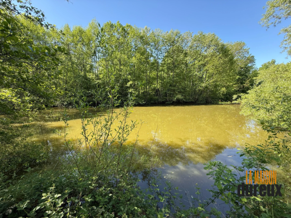 Terrain de loisir avec étang à Velet – idéal pour la pêche, la chasse et la détente