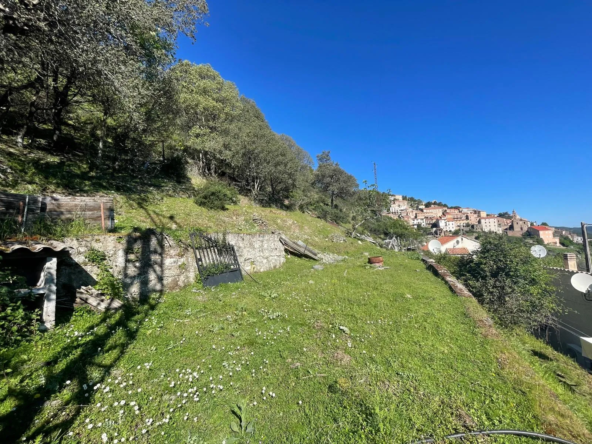 Charmante maison de village à Castifao avec jardin, garage et terrasse en Balagne