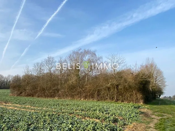 Parcelle de forêt de 2290 m² à Amboise, vente terrain naturel