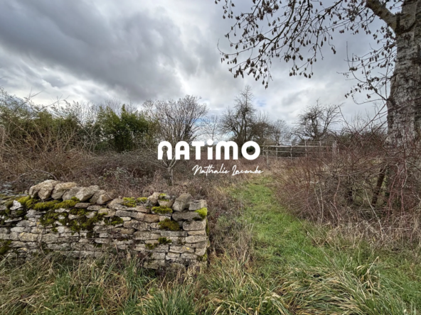 Terrain constructible de 1000 m² en campagne proche Semur-en-Auxois