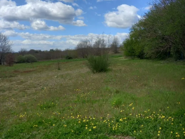 Terrain constructible en campagne à Graulhet avec belle vue et proximité des commodités