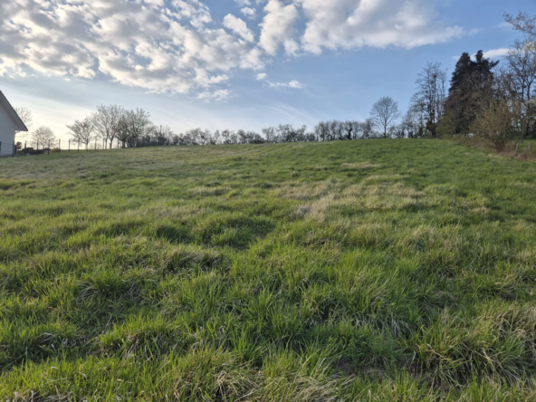 Terrain constructible à vendre à Courbouzon – 3 300 m², possibilité de division