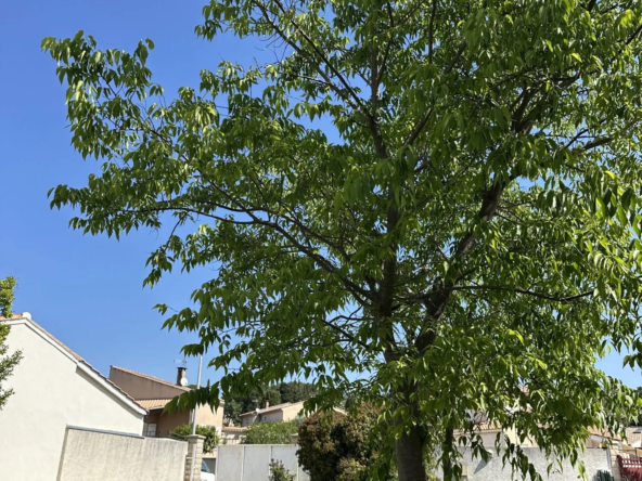 Terrain constructible à vendre à Corneilhan - 398 m² dans un village calme