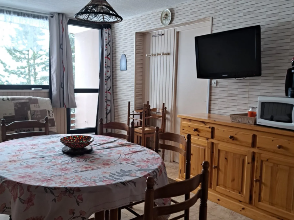 Appartement 2 pièces lumineux à Besse-et-Saint-Anastaise, idéal saisonnier