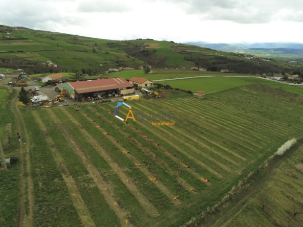 Terrains professionnels viabilisés de 1221 m² à Saint-Romain-en-Jarez