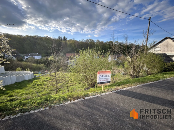 Terrain à vendre à Seppois-le-Haut - Opportunité à saisir
