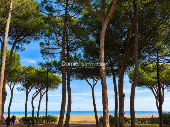 Appartement F2 à vendre à Argeles sur Mer à 50 mètres de la plage