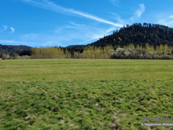 Terrain constructible de 892 m² à La Bourgonce avec permis validé en 2025