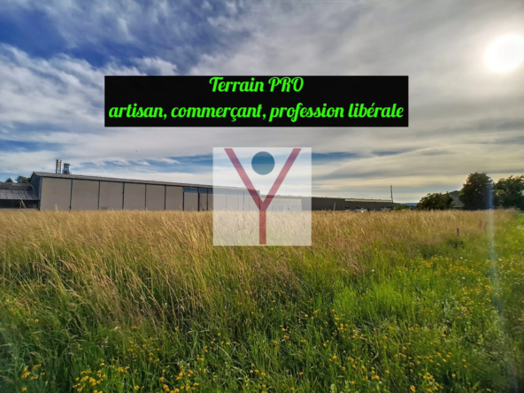 Terrains professionnels constructibles à Saint Jean Le Vieux - Zone UX