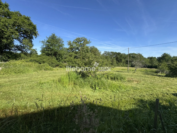 Maison à vendre à Neuillay-les-Bois, charmante propriété avec grand jardin et potentiel de rénovation