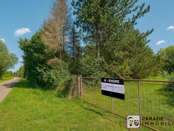 Terrain arboré de 4768 m² à Xirocourt avec abri en dur et accès voiture
