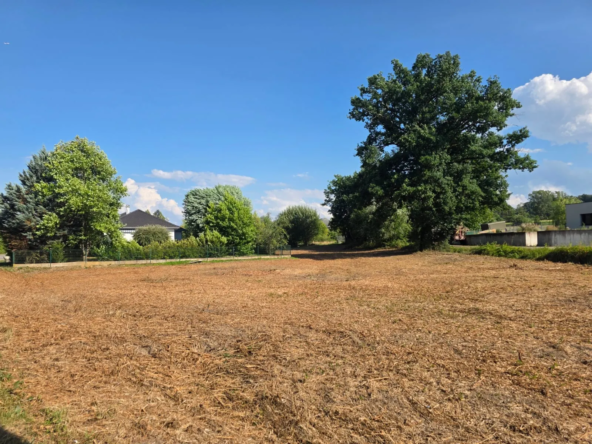 Terrain constructible de 11 ares 21 à vendre à Hausgauen