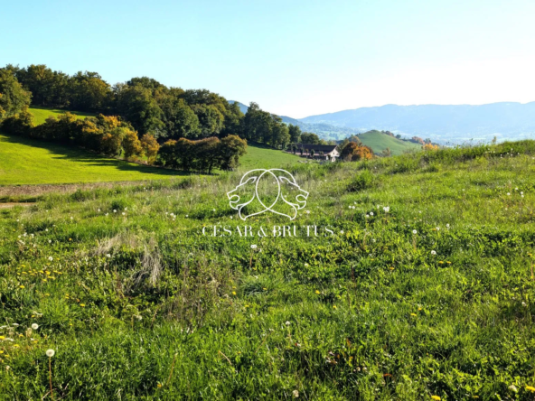 Terrain constructible à Beaulieu de 3 180 m² avec vue panoramique
