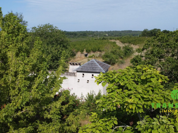 A vendre corps de ferme en pierre avec dépendances et grand parc à Aillas