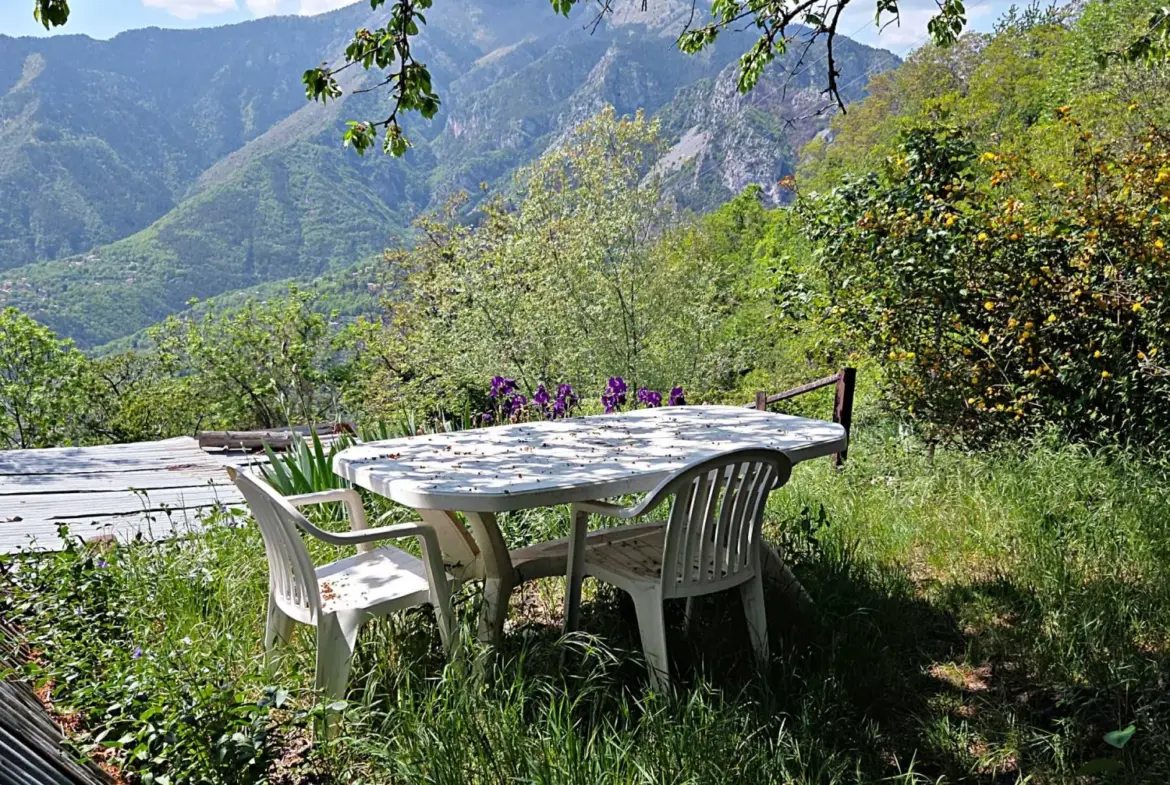 Belle propriété à rénover avec maison, grange et terrain en vue panoramique à Belvédère 