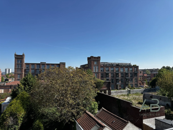 Appartement T2 lumineux à Lille-Hellemmes idéal investissement ou résidence