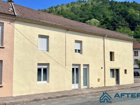Belle maison à vendre à Raon-l'Étape, 103 m² avec terrasse en bord d'eau