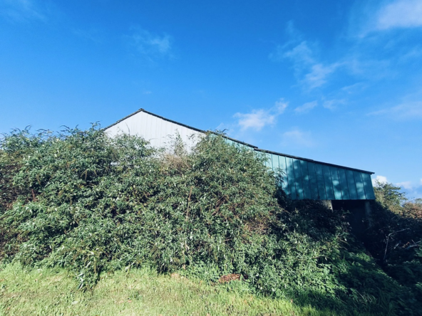 Hangar agricole à vendre à Guipavas - 300 m² sur terrain de 2242 m²