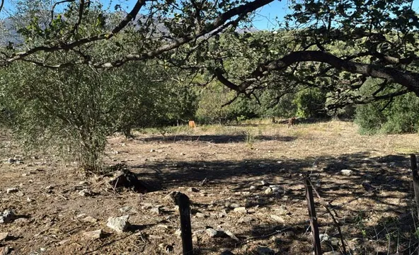 Terrain à bâtir de 5862 m² à Rapale dans le Nebbio, vue dégagée