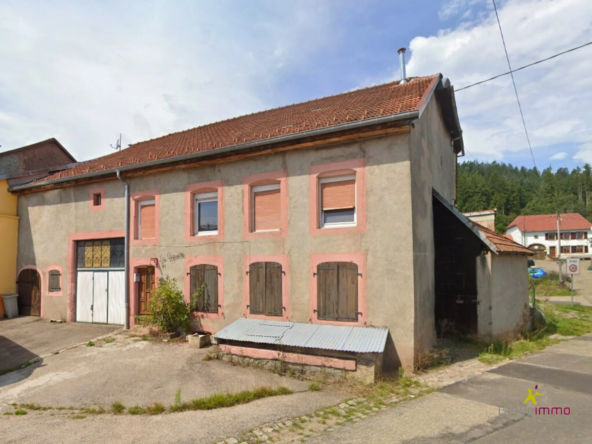 Maison à rénover avec grand garage et espace de travail à Saales