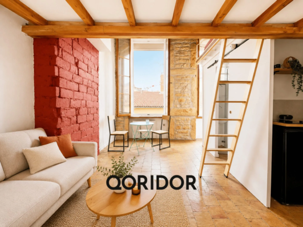 Charmant appartement rénové avec mezzanine à Lyon 1