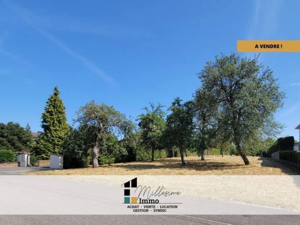 Terrain à vendre à Drulingen – 32 ares constructibles dans un cadre privilégié